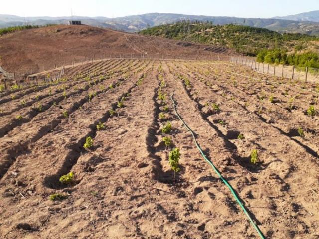 Parcela de Agrado en Venta en San Javier
