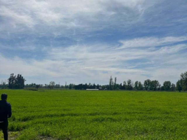 Parcela de Agrado en Venta en Ñiquén