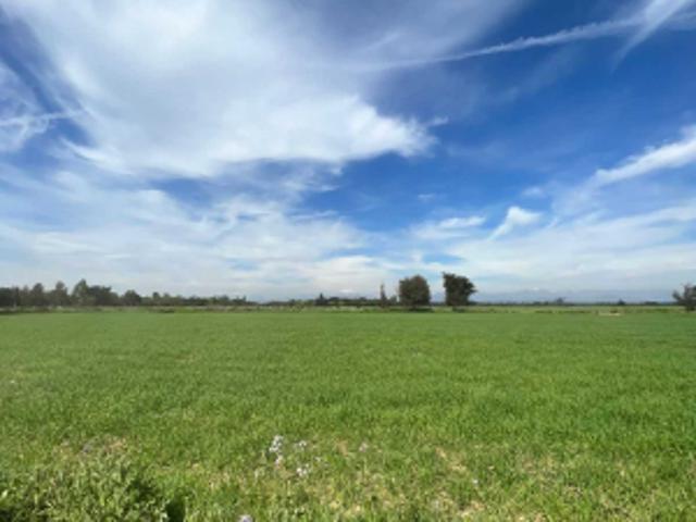 Parcela de Agrado en Venta en Ñiquén