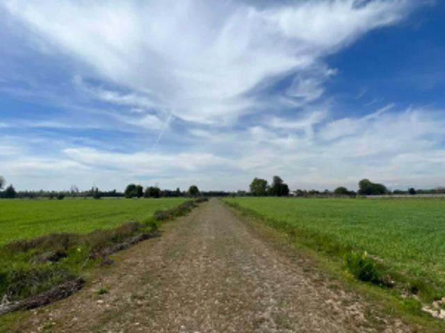 Parcela de Agrado en Venta en Ñiquén