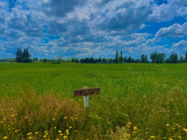Parcela de Agrado en Venta en Ñiquén