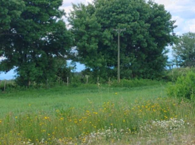Parcela de Agrado en Venta en Ñiquén