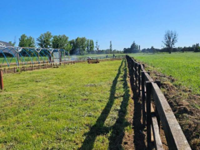 Parcela de Agrado en Venta en Ñiquén