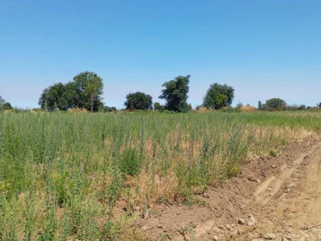 Parcela de Agrado en Venta en Ñiquén