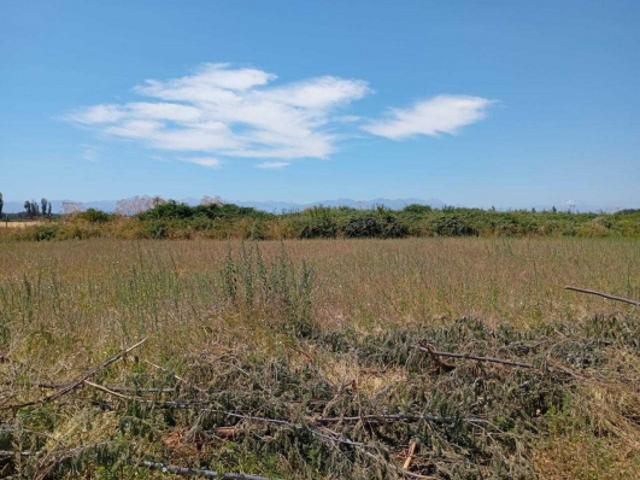 Parcela de Agrado en Venta en Ñiquén