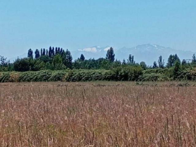 Parcela de Agrado en Venta en Ñiquén
