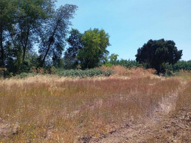 Parcela de Agrado en Venta en Ñiquén