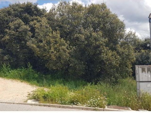 Local Comercial en venta en El Chaparral, Pioz