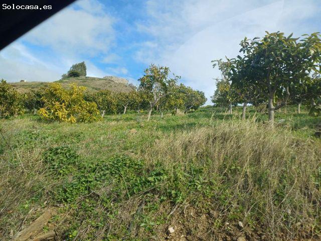 Local Comercial en venta en La Axarquía, Andalucía