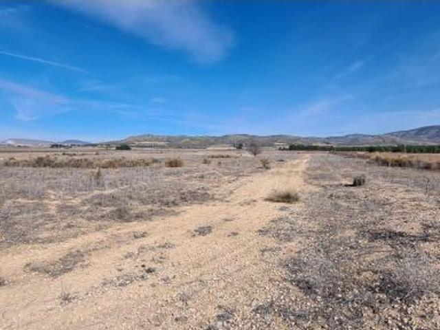Local Comercial en venta en Casas de Menor, l'Alt Vinalopó / El Alto Vinalopó