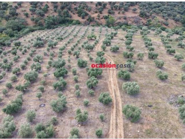Local Comercial en venta en Fuente Obejuna, Andalucía