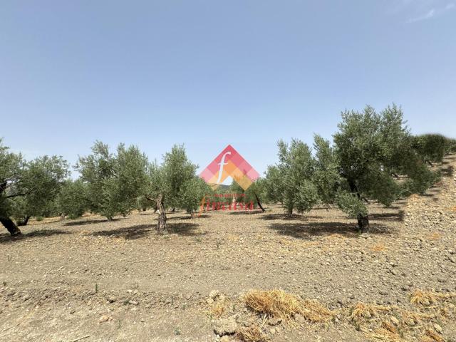Terreno en venta en Serranía de Ronda, Andalucía