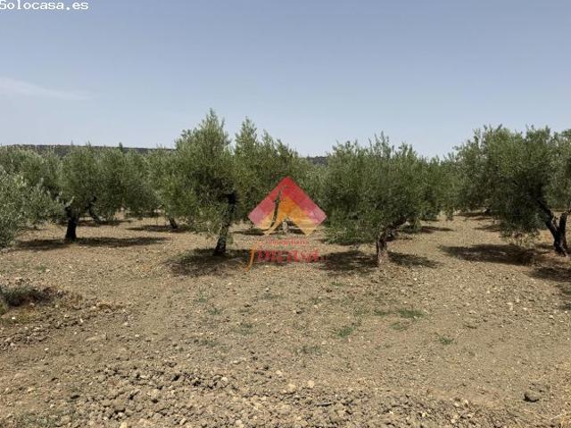 Local Comercial en venta en Serranía de Ronda, Andalucía