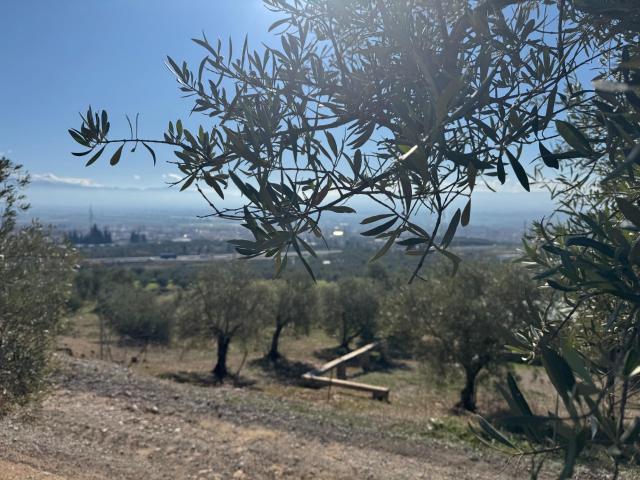 Terreno en venta en Casco Antiguo Sur, Comarca de la Vega de Granada