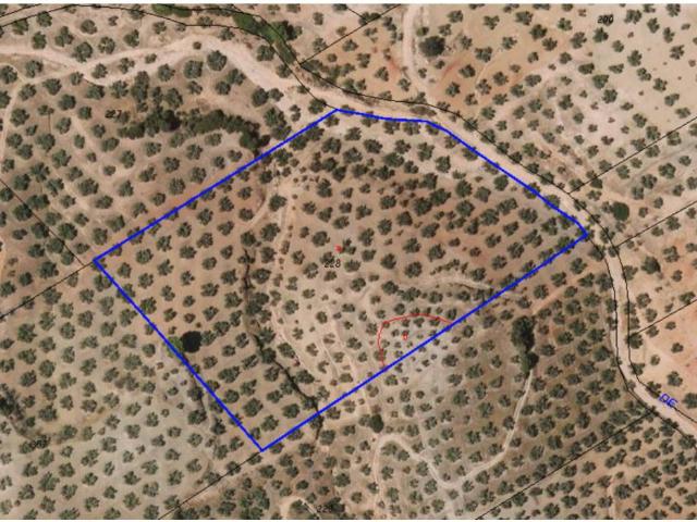 Terreno en venta en Comarca de Loja, Andalucía