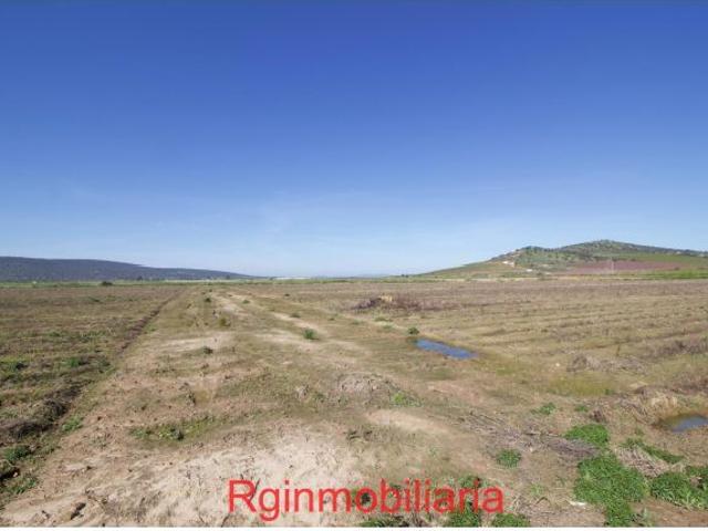 Local Comercial en venta en Medellín, Extremadura