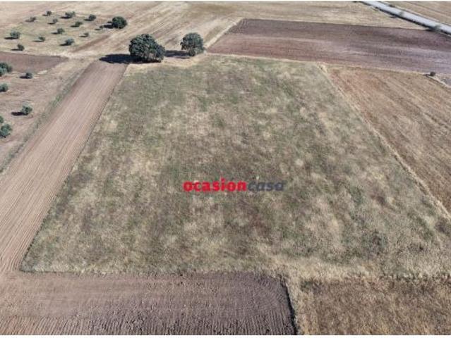 Local Comercial en venta en Valsequillo, Andalucía