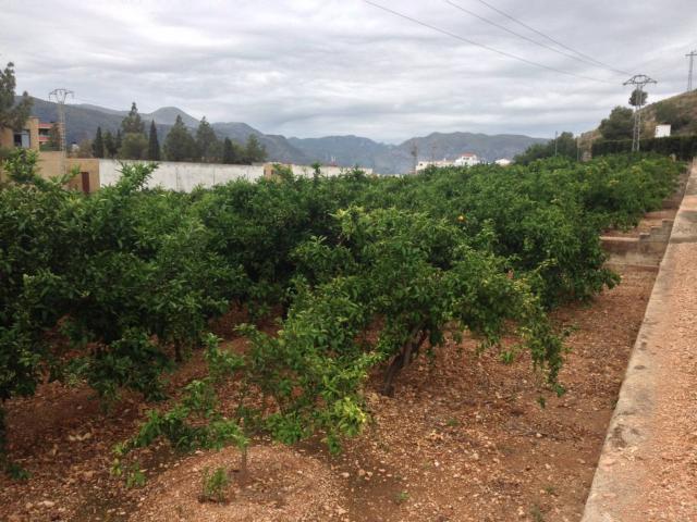 Terreno en venta en la Safor, Valencia