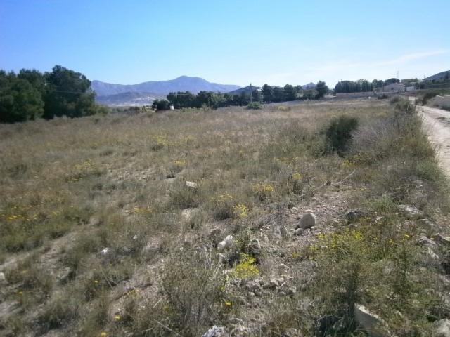 Casa en venta en Monòver / Monóvar, Alacant / Alicante
