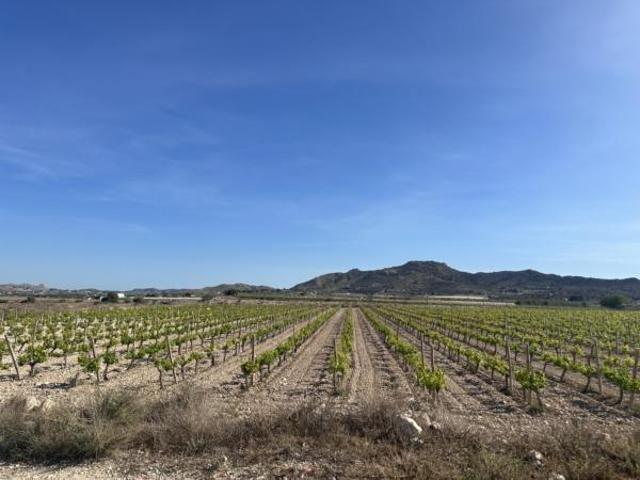 Casa en venta en La Cruz, el Vinalopó Mitjà / El Vinalopó Medio