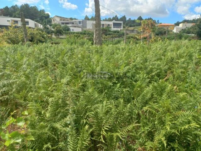 Terreno venda em Guimarães, Ponte Terreno venda em Guimarães, Ponte