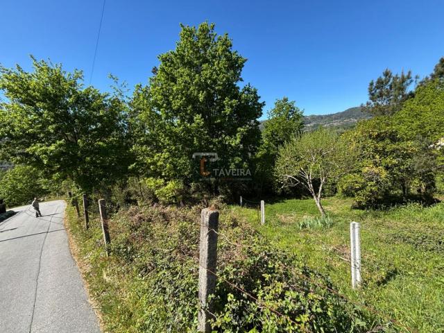 Terreno venda em Vale, Arcos De Valdevez