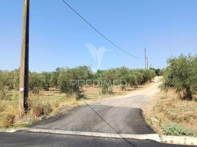 Terreno venda em Campo Maior, Portalegre