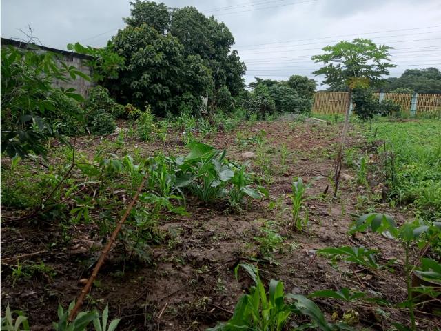 Terreno en venta en Gua, Portuguesa