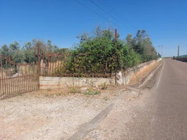 Terreno venda em Vila Viçosa, Bencatel Terreno venda em Vila Viçosa, Bencatel