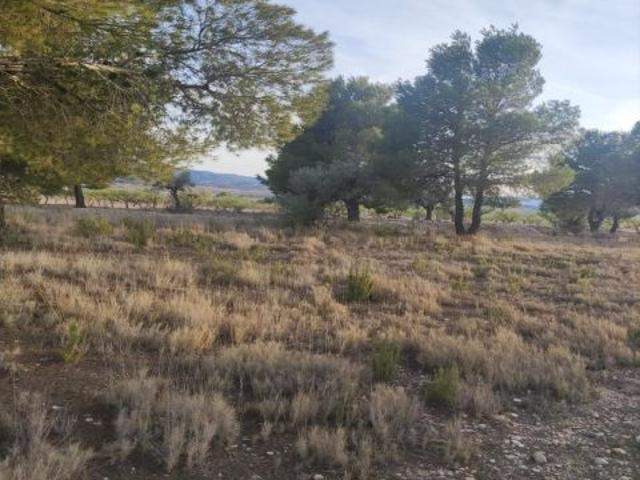 Local Comercial en venta en les Canyades de Don Ciro, el Vinalopó Mitjà / El Vinalopó Medio