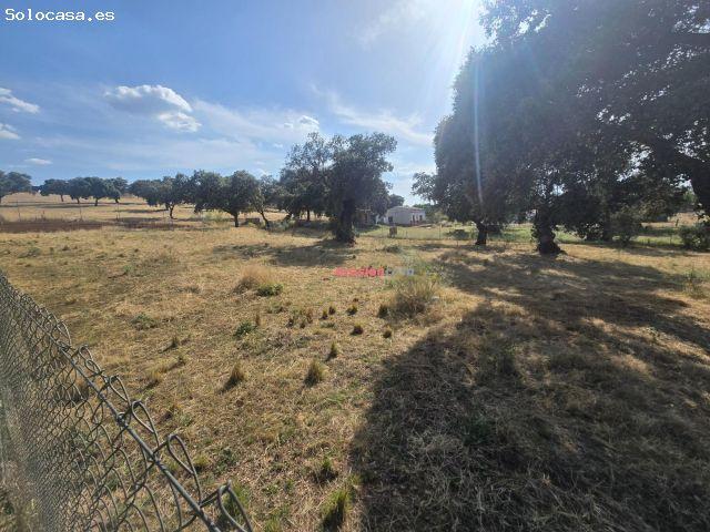 Local Comercial en venta en Añora, Andalucía