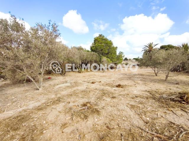 Terreno en venta en la Marina, el Baix Vinalopó