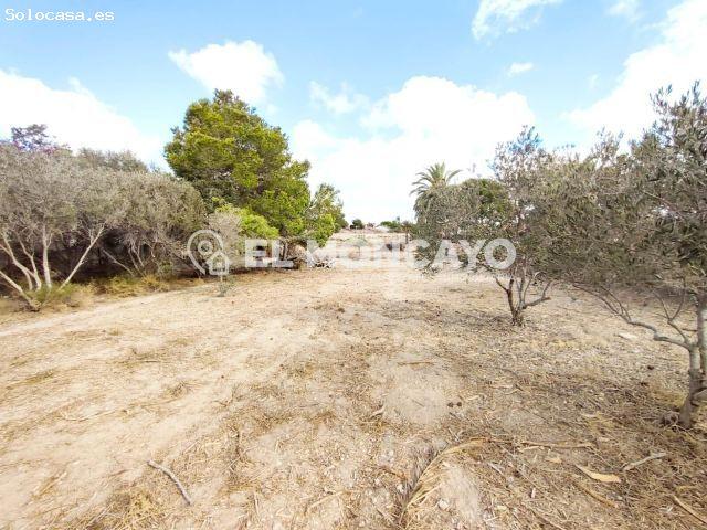 Local Comercial en venta en la Marina, el Baix Vinalopó