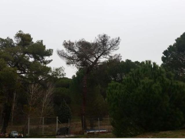Local Comercial en venta en Viana De Cega, Castilla y León