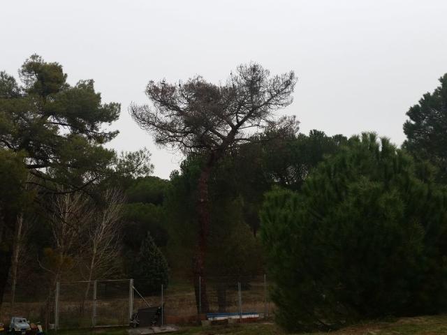 Terreno en venta en Viana De Cega, Castilla y León