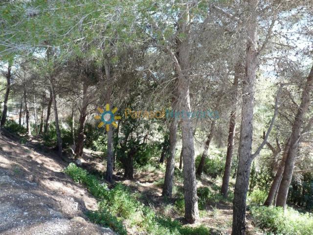 Terreno en venta en Bella Vista, la Safor
