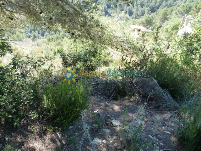 Terreno en venta en Bella Vista, la Safor