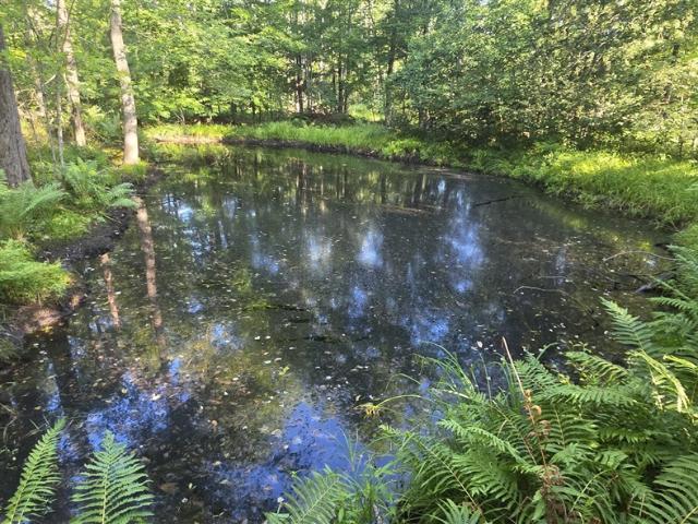 Land for sale in Michigan