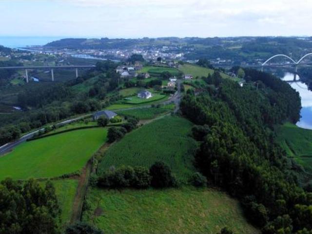 Local Comercial en venta en Coaña, Asturias