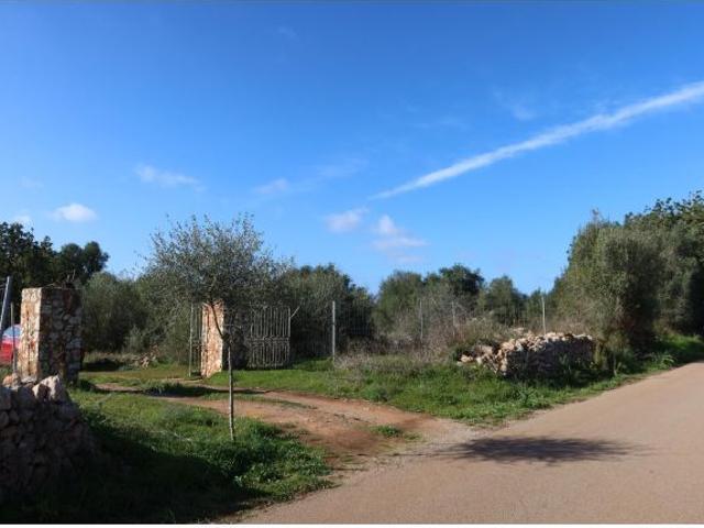 Local Comercial en venta en Migjorn, Baleares