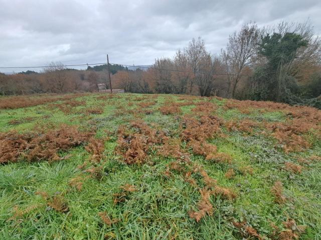 Terreno en venta en Coles, Ourense