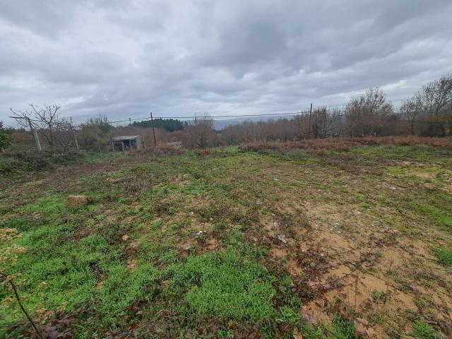 Terreno en venta en Coles, Ourense