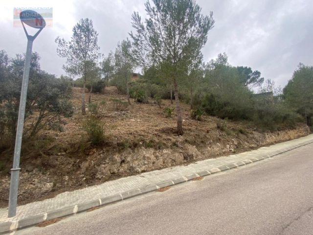 Local Comercial en venta en Baix Penedès, Catalunya