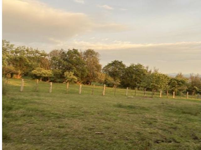 Local Comercial en venta en La Piñera, Siero