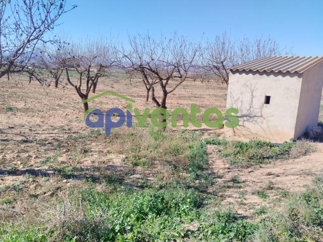 Terreno en venta en Virgen de las Huertas, Alto Guadalentín