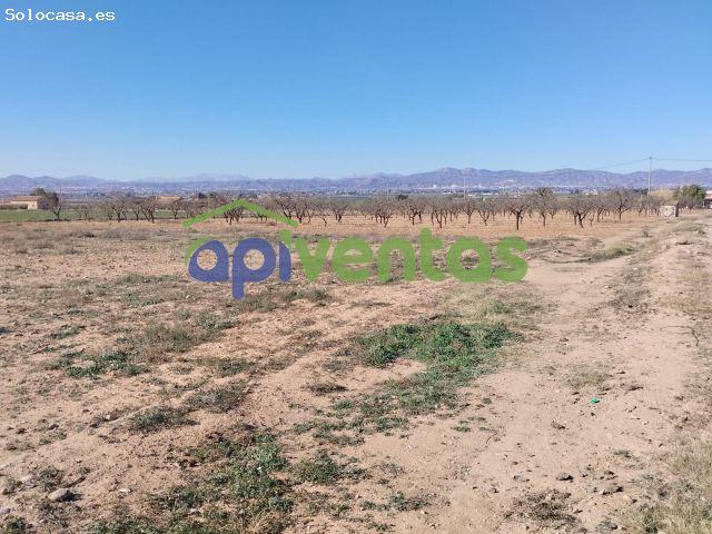 Local Comercial en venta en La Alcanara y Los Bucanos, Alto Guadalentín