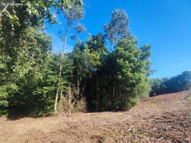 Local Comercial en venta en Tapia De Casariego