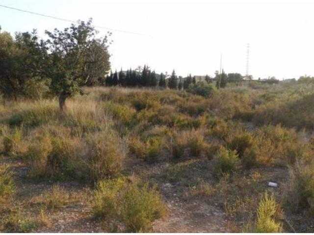 Local Comercial en venta en Perleta, el Baix Vinalopó