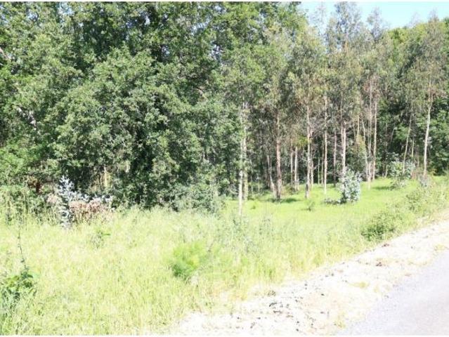 Local Comercial en venta en Vedra, Santiago