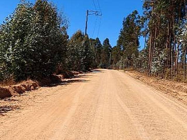 PARCELA EL PERAL A 25 MIN DE PLAYA. CARDENAL CARO, PAREDONES